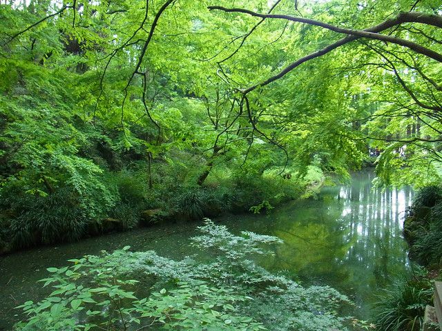 山の自然がもたらす多彩な恩恵